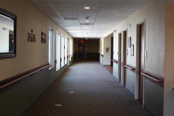 Environment Photo